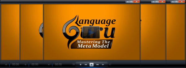 Language Guru Mastering The Meta Model with Michael Breen