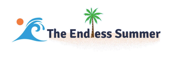 The Endless Summer Google Shopping Course by Sharad Thaper