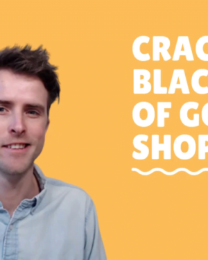 The Google Shopping Success Course by Dennis Moons