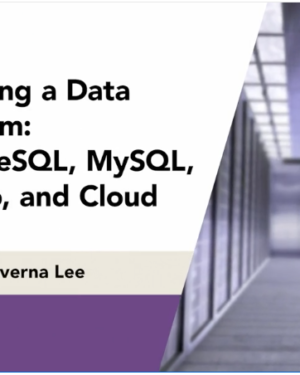 Choosing a Data Platform: PostgreSQL, MySQL, Mongo, and Cloud with Amataverna Lee