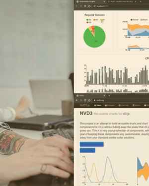 Build Your First Data Visualization with NVD3 By Nertil Poci