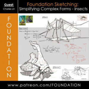 Foundation Patreon Sketching Simplifying Complex Forms – Insects