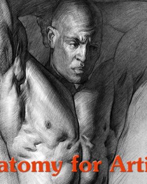 Anatomy of the Human Body Course 2021 (Update 06/2021
