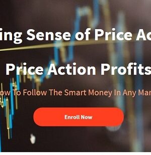 Making Sense of Price Action: Price Action Profits