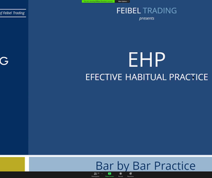 Feibel Trading – Effective Habitual Practice