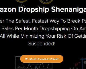 Dropship Shenanigans: Amazon Dropshipping