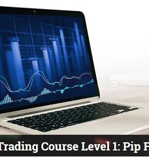 Forex Trading Course Level 1: Pip Fisher – Piranha Profits