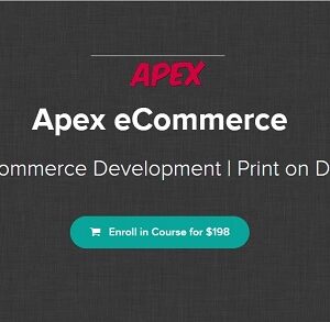Yous – Apex eCommerce 2019 (Elite eCommerce Development – Print on Demand)