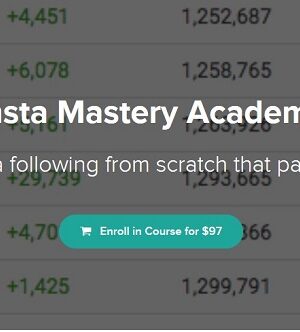 Insta Mastery Academy 3.0 with Josh Ryan Course