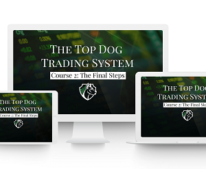 Momentum as a Leading Indicator – Top Dog Trading