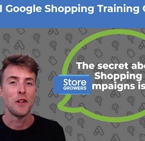 Dennis Moons – Google Shopping Success Course On The Market