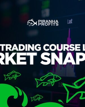Piranha Profits – Stock Trading Course Level 2 Market Snapper