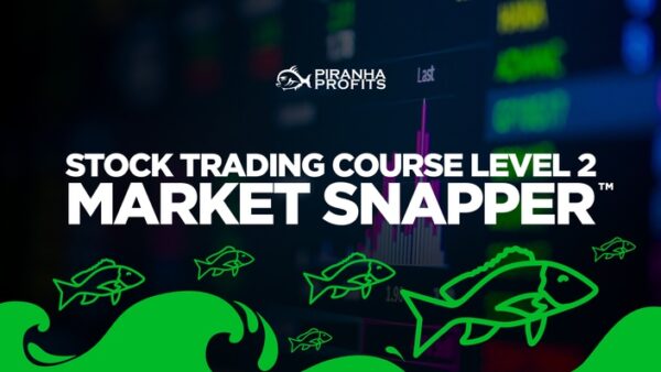 Piranha Profits - Stock Trading Course Level 2 Market Snapper