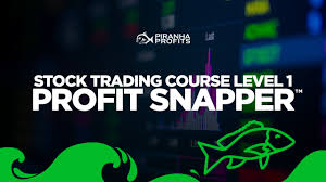 Piranha Profits – Stock Trading Course Level 1 Profit Snapper