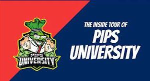 Pips University – The Only Forex Course You Will Ever Need