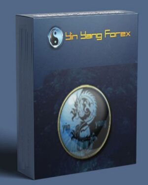 Yin Yang Forex Training Program Trading Mastermind