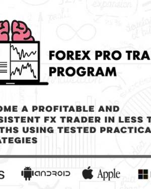 Young Trader Wealth – Forex Pro Trader Program