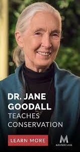 Masterclass – Dr. Jane Goodall Teaches Conservation