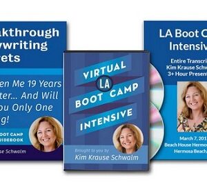 Virtual LA Boot Camp Intensive by Kim Krause Schwalm