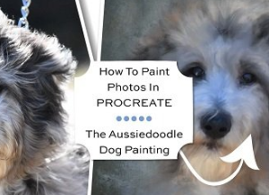How To Paint Photos In Procreate: The Aussiedoodle Dog Painting