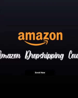 Andrew Giorgi Amazon Dropshipping Course Download