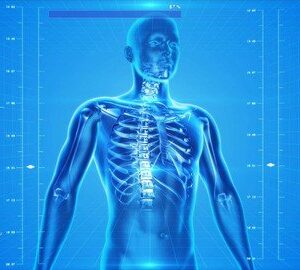 Human Anatomy and Physiology 01: Basics and Nomenclature