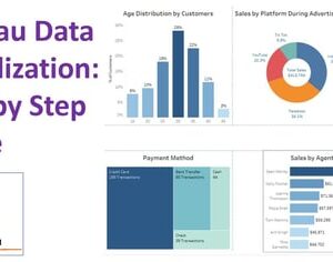 Tableau Data Visualization: Step by Step Guide