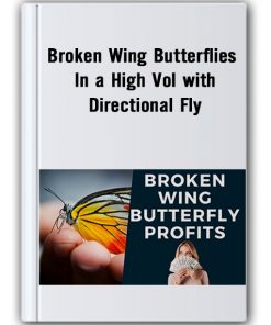 Broken Wing Butterflies In A High Vol With Directional Fly
