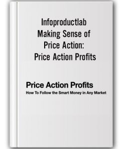 Infoproductlab – Making Sense of Price Action: Price Action Profits
