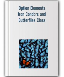 Option Elements – Iron Condors and Butterflies Class