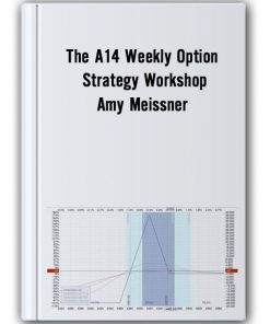 The A14 Weekly Option Strategy Workshop – Amy Meissner