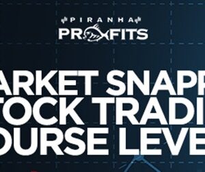 Piranha Profits – Stock Trading Course Level 2 Market Snapper
