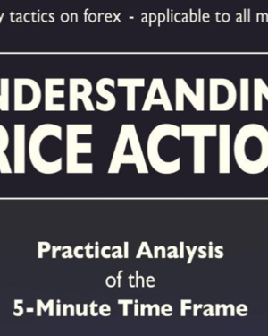 Bob Volman – Understanding Price Action