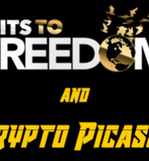 Crypto Picasso Bits to Freedom Video Course