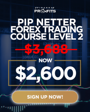 Piranha Profits – Forex Trading Course Level 2 – Pip Netter