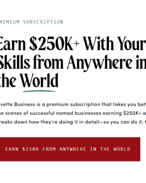 The Vivette – Earn $250K+ With Your Skills from Anywhere in the World