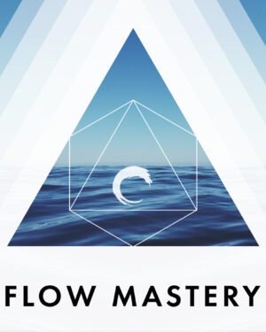 Flow Mastery Level 2 Advanced Training