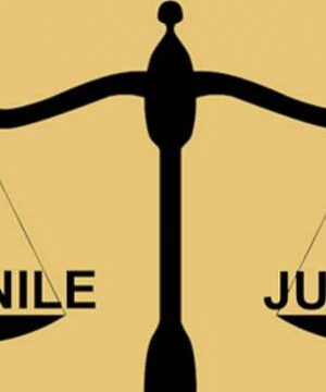 Introduction to the Juvenile and Criminal Justice Systems