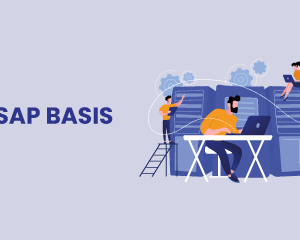 The Complete SAP Basis Course – Associate 2017