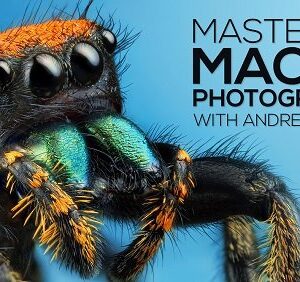 Andres Moline – Mastering Macro Photography