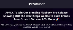 Read more about the article Ecom Gods Playbook