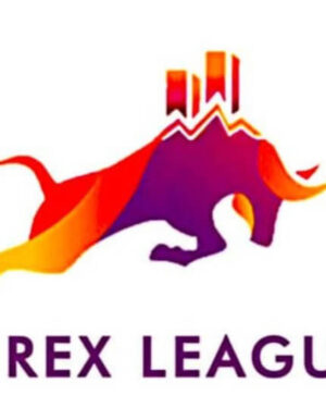 My Forex League – The Course