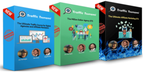 Read more about the article OMG Machines – Definitive Traffic Tsunami – DC2021