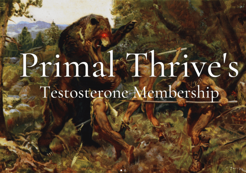 You are currently viewing PrimalThrive – Collection