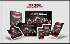 Read more about the article Steve – TTC Forex University