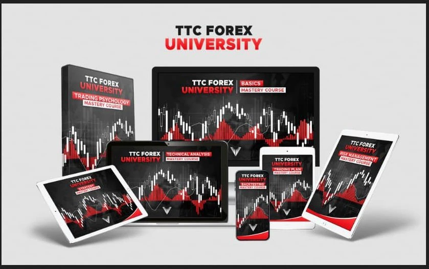 You are currently viewing Steve – TTC Forex University