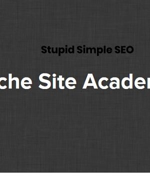 Stupid Simple SEO – Niche Site Academy by Mike Pearson