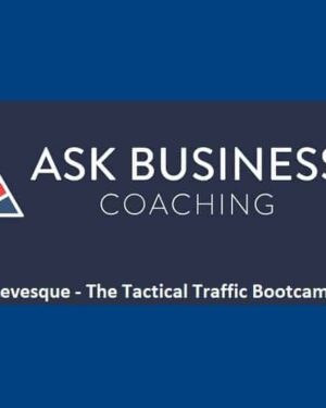 Ryan Levesque – Tactical Traffic Bootcamp