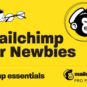 Mailchimp for Newbies by Chimp Essentials