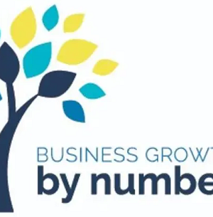 Sally Farrant – Business Growth by Numbers